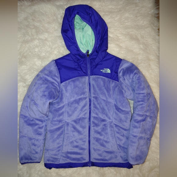 The North Face Other - The North Face Reversible Purple Hooded Jacket